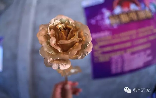 天嬌汽車文化節(jié)-一個(gè)可以吃喝玩樂的汽車節(jié)！