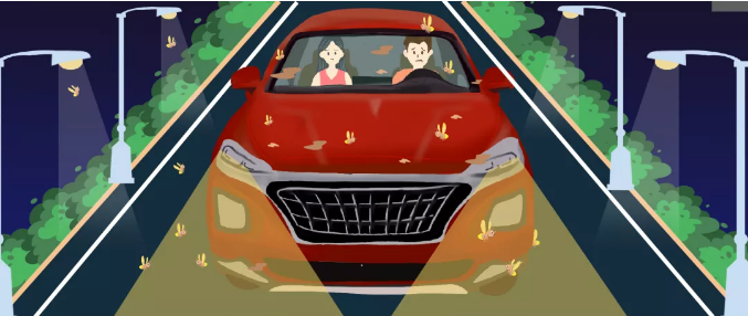 安全清除車身飛蟲，僅需十分鐘