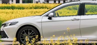 丨廣汽豐田天嬌寶慶店丨全新凱美瑞智能陪伴，將帶你馭見絕美婺源